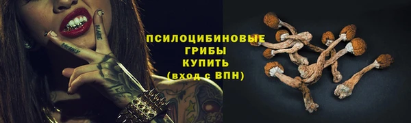 винт Алзамай