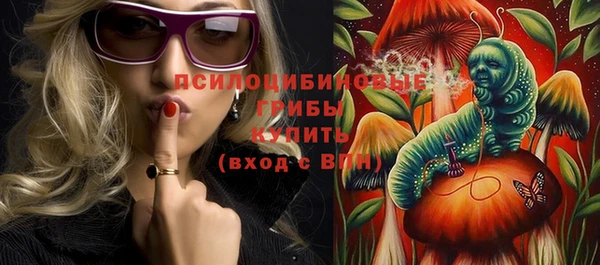 винт Алзамай