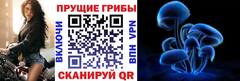 Галлюциногенные грибы MAGIC MUSHROOMS  закладка  Слободской 