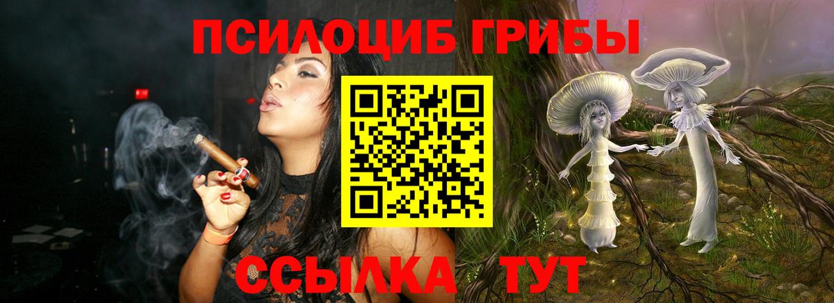 Слободской  Псилоцибиновые грибы MAGIC MUSHROOMS  купить наркотики сайты  Вход с VPN  Псилоцибиновые грибы мицелий 